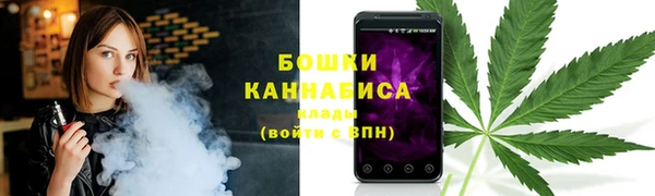 ПСИЛОЦИБИНОВЫЕ ГРИБЫ Белокуриха