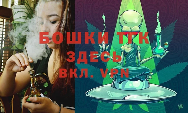ПСИЛОЦИБИНОВЫЕ ГРИБЫ Белокуриха