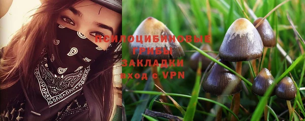 ПСИЛОЦИБИНОВЫЕ ГРИБЫ Белокуриха